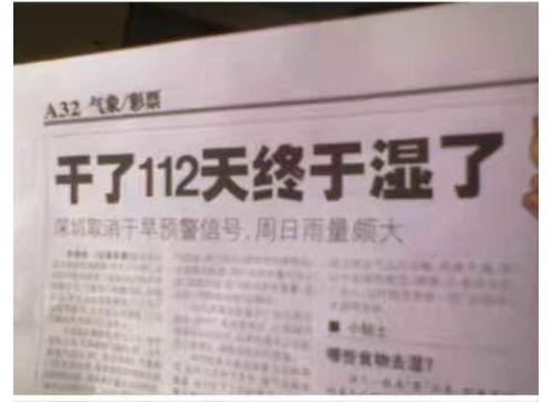 新闻爆料标题文字大全最新,新闻标题文字大全背后的故事与真相